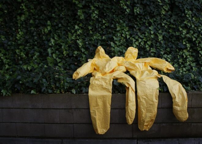 Ebola’s Lessons
