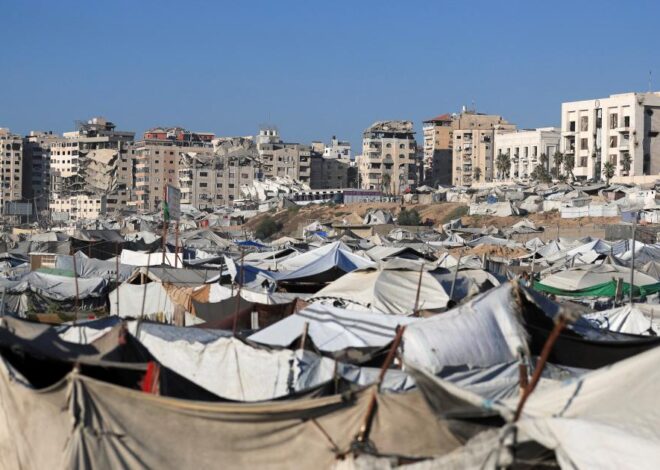 The Future of Palestine