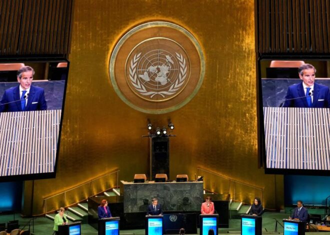 Shrink the UN